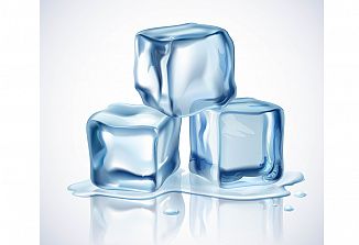 Popek in trtica uravnavata energijo našega telesa (2)