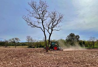 Travniki, pašniki in biotska raznovrstnost: ravnotežje med naravo in človekovo dejavnostjo osrednje vprašanje za prihodnost na Krasu