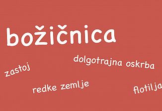 Beseda leta 2025