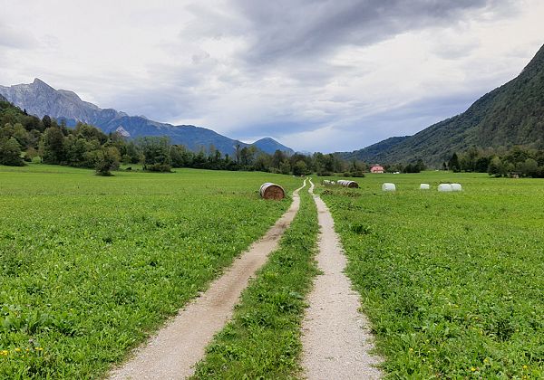 Še bom šel tja, o ja, ker … lepi konci so to