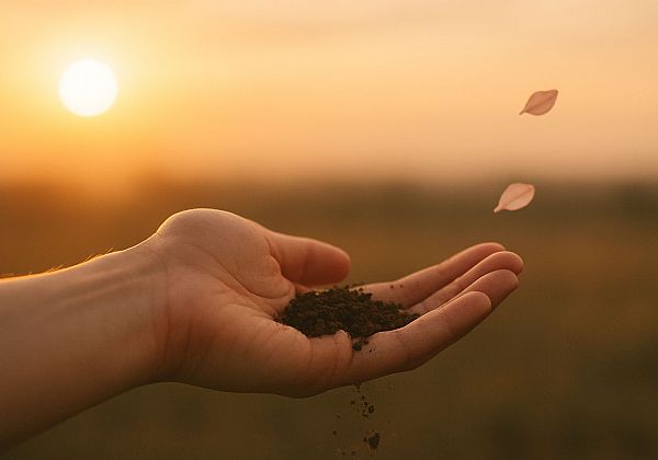 Ostane samo tisto, kar smo zapisali v večno ljubezen 