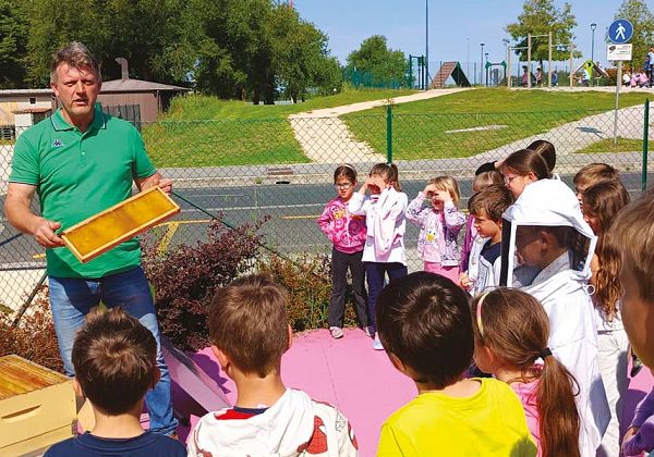 Obisk učitelja in čebelarja Matjaža Pintarja v OŠ Petra Butkoviča Domna v Sovodnjah