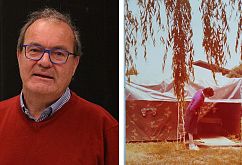 Pred 50 leti je ruševine prekril val solidarnosti