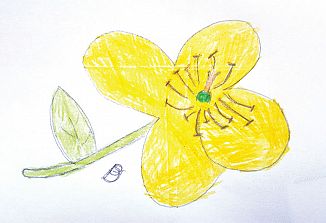 Naturopatski nasveti (231)