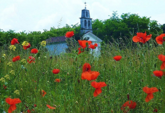 Praznovanje sv. Marka in Marijin maj na Prevalu