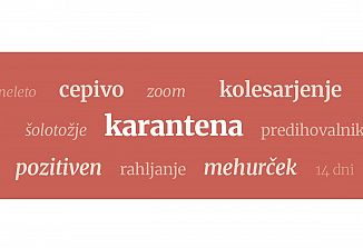 Jezikovnica (100)