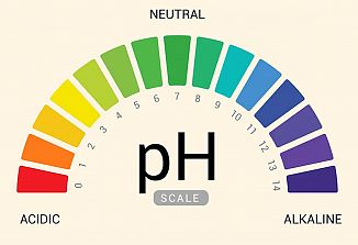 Natrium phosphoricum 