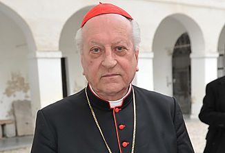 Kardinal dr. Franc Rode na obletnici ustanovitve Slovenskega pastoralnega središča v Gorici