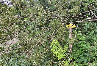 Po vznožju Stolovega grebena