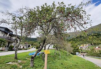 V kraju, ki je dal kotu ime