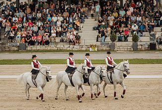 Dan Kobilarne Lipica 2025: 445-letnico zaznamovalo nepozabno praznovanje