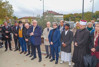 Oljka kot simbol novega začetka in medverskega sožitja