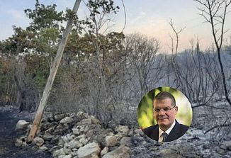 Pisani o nevarnosti suhih dreves ob državni cesti