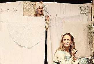 Nesrečna lisičja dogodivščina s srečnim koncem