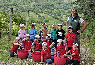 Učenci OŠ J. Abrama in otroci  OV Pikapolonica na trgatvi