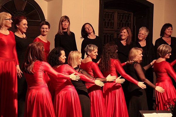 69704545_2517827321593564_6077952424096563200_o